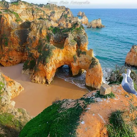 Ancora Apartamento Lagos