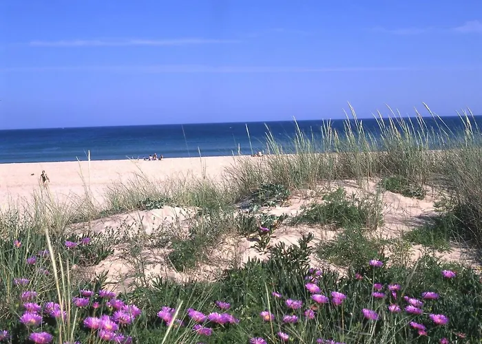 Apartamento Ancora *